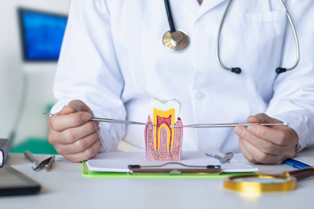 Best Broken or Chipped Tooth Repair in Green Valley, AZ